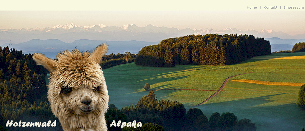 hotzenwald-alpaka