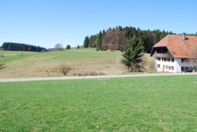 Bauernhaus / Hotzenwald-Alpaka Engelschwand
